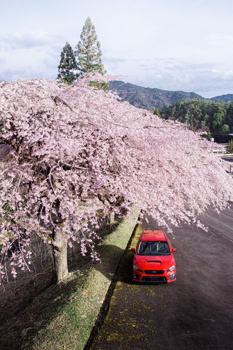 まさき仙人 tweet media