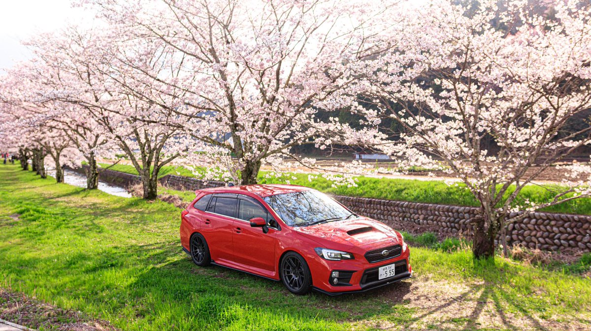 まさき仙人 tweet media