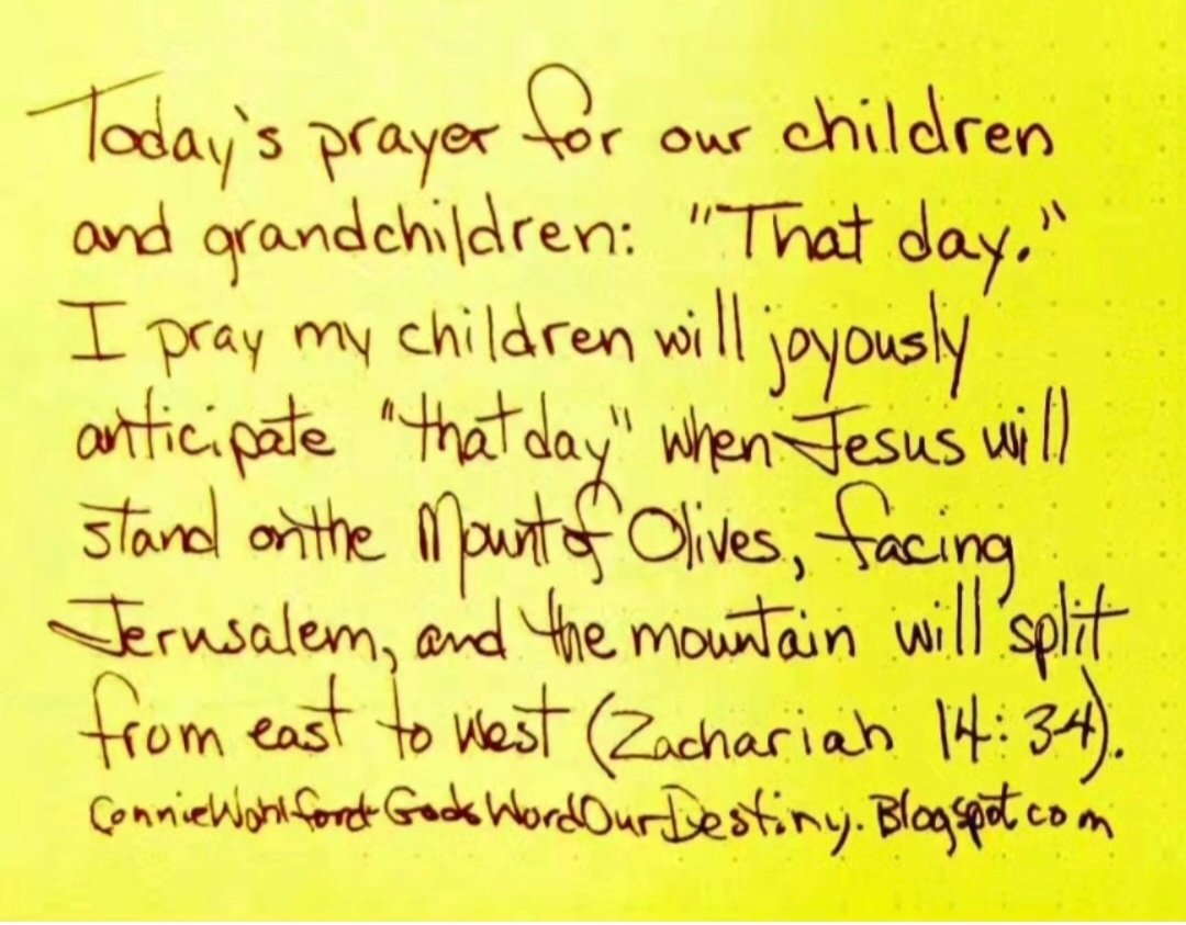 wohlford_connie's tweet photo. Today for our #children and grandchildren: That Day.
#ThatDay #JesusReturn #MountOfOlives #Zachariah #joy #JesusIsComingBack #easttowest #GodsWordOurDestiny https://t.co/uXpaLlPD2o