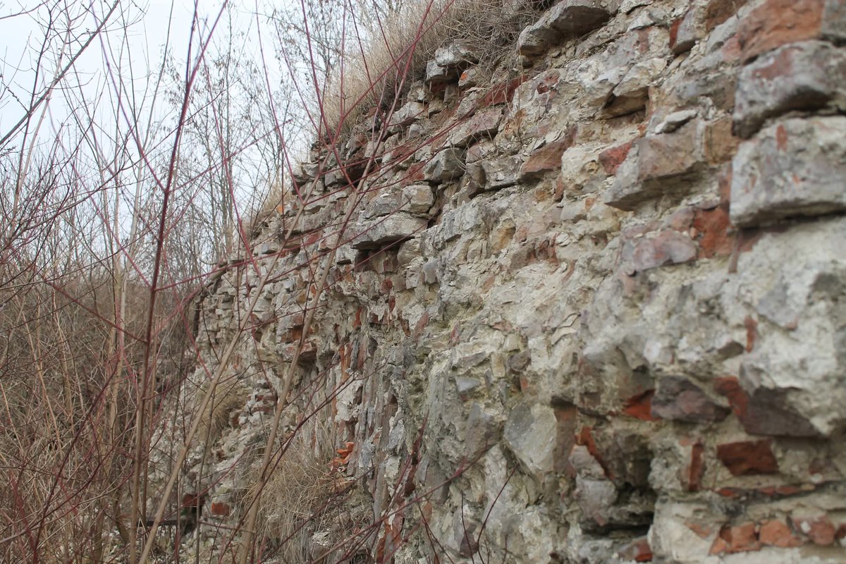 Ovidijus tweet media