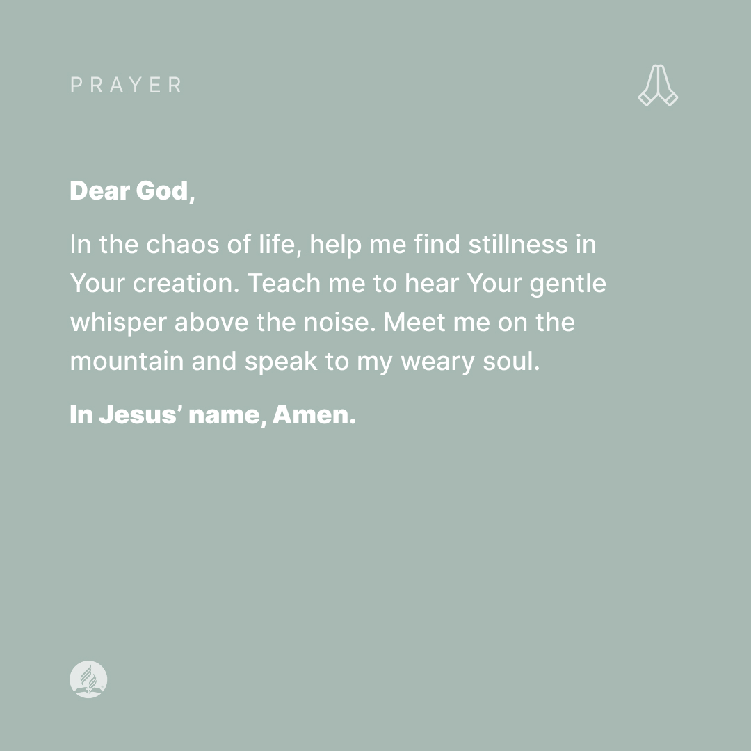 Adventist Church tweet media