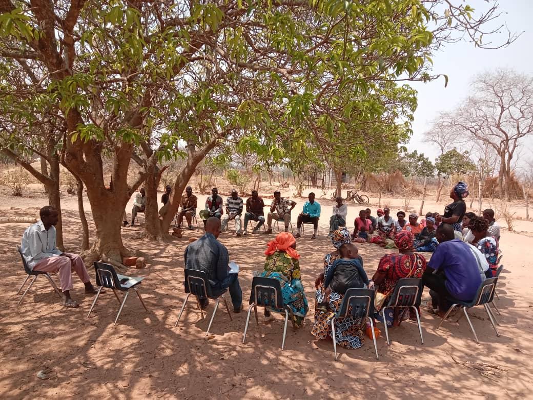 AB Entheos Ltd tweet media