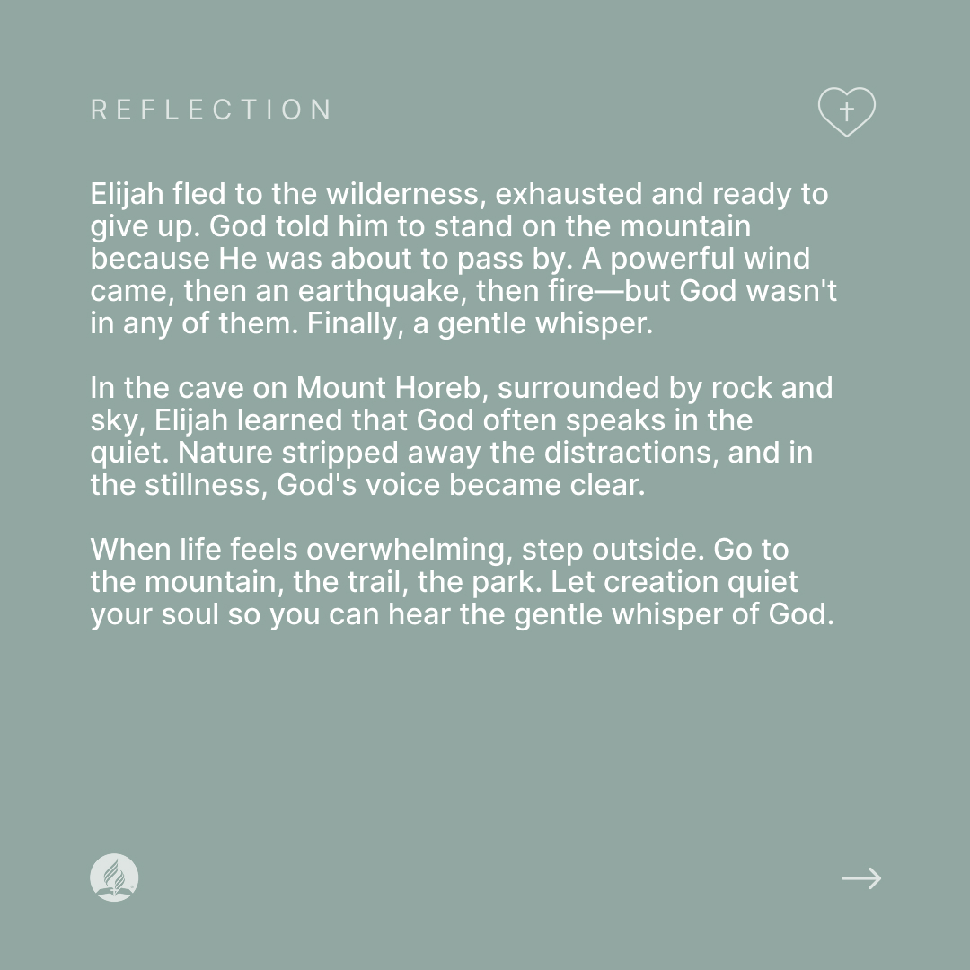 Adventist Church tweet media