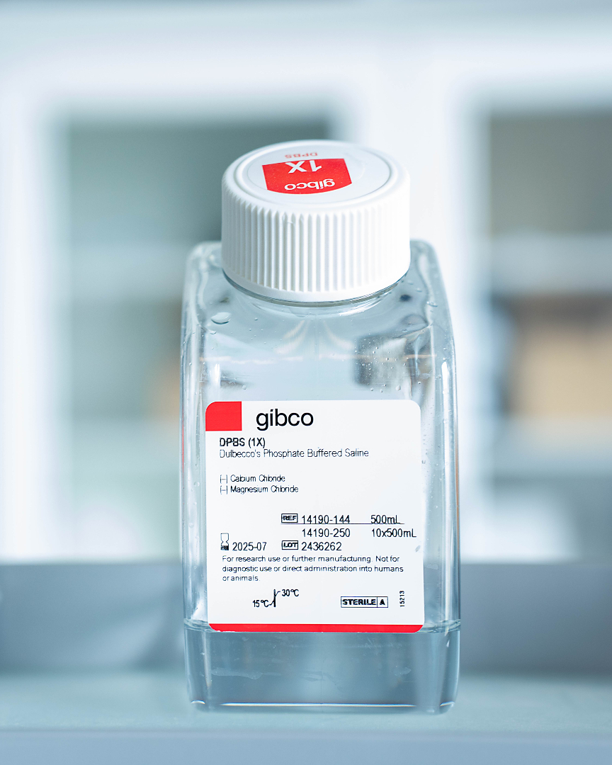 LaDIS_UVa tweet media