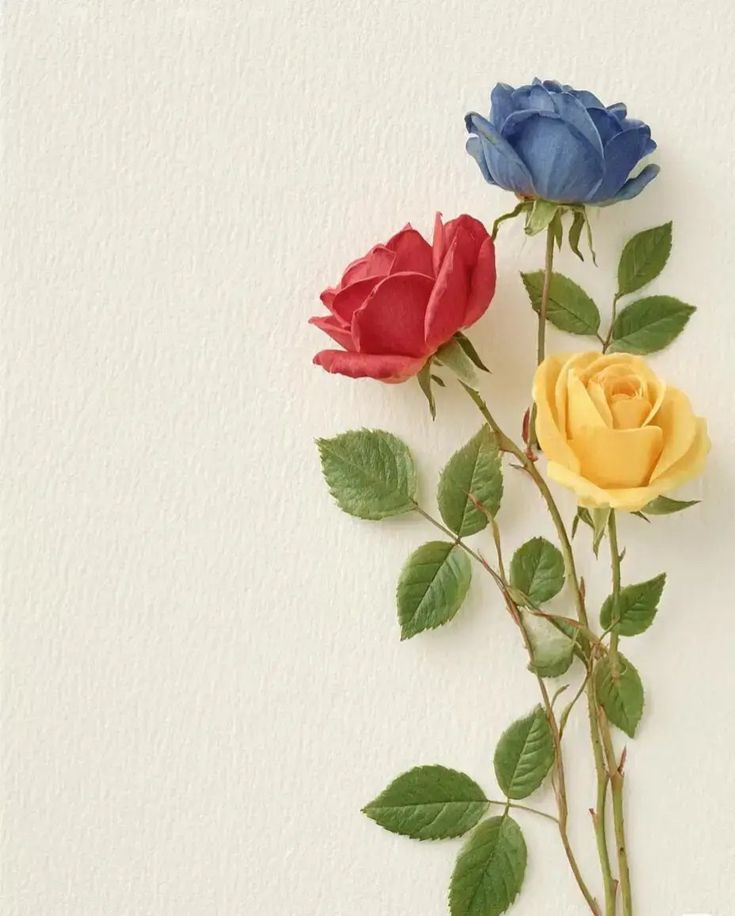 Casa Lettori tweet media