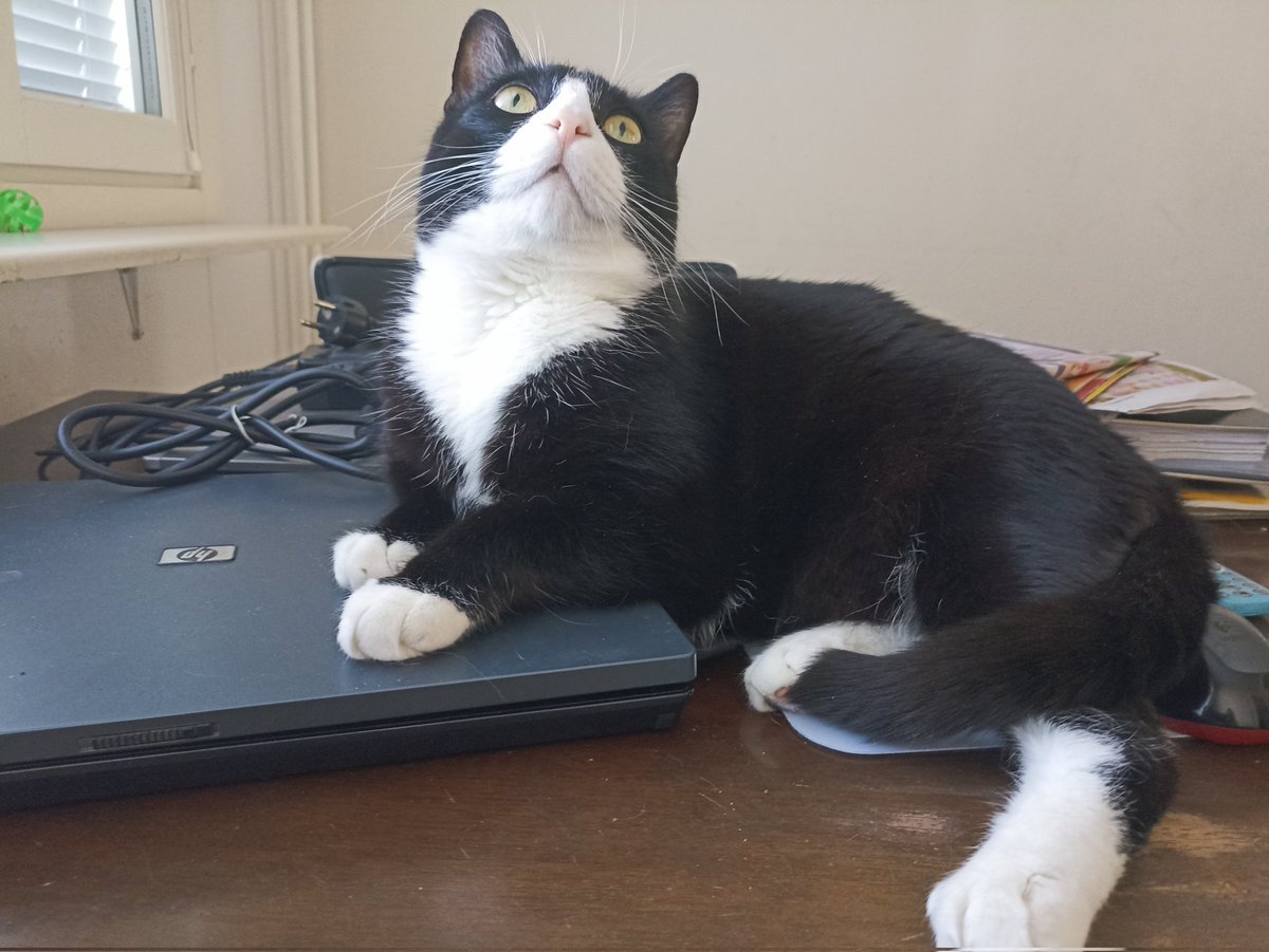 HelllLau's tweet photo. Voi että. Tekis niiiin mieli jatkaa veroilmoituksen viilailua mutta valitettavasti pienen esteen vuoksi se ei nyt onnistu.. 🤷 #nocando https://t.co/GIsHRT92zf