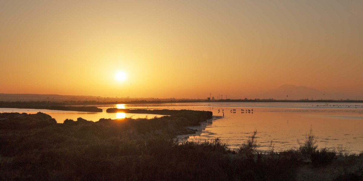 Region of Valencia tweet media