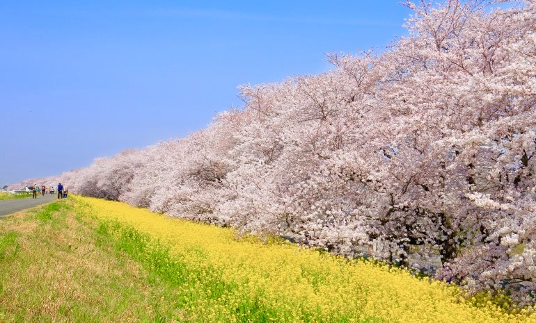 極上の旅図鑑 tweet media