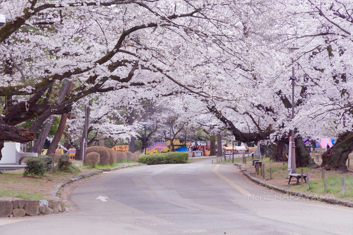 極上の旅図鑑 tweet media