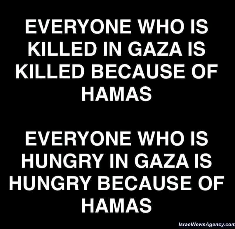 Koen Pelayo tweet media