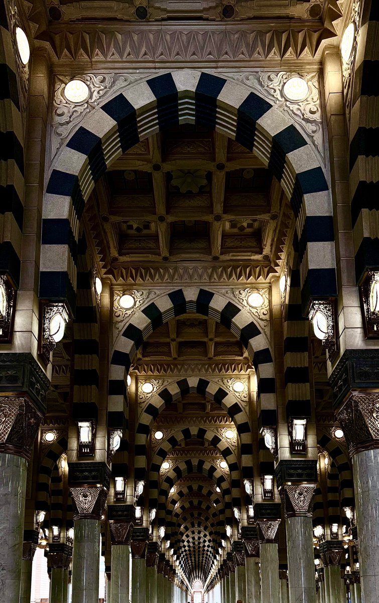 Salam 𓂆 سَلام tweet media