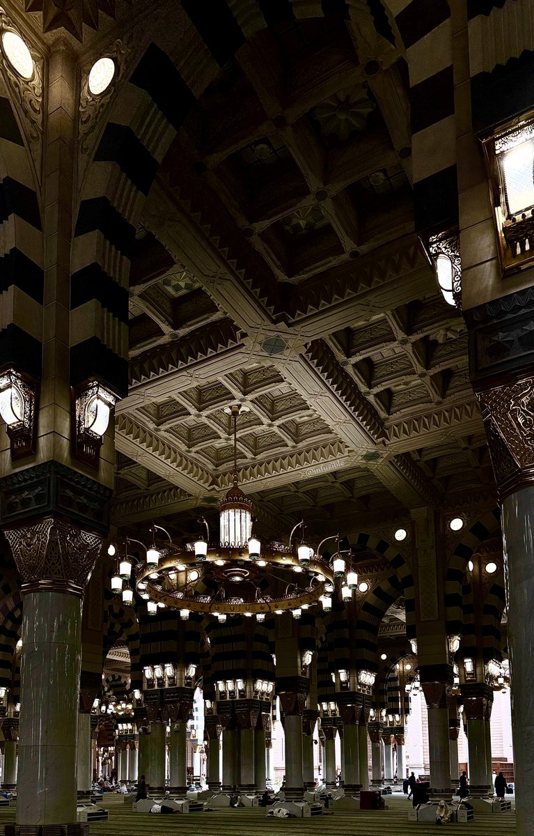 Salam 𓂆 سَلام tweet media