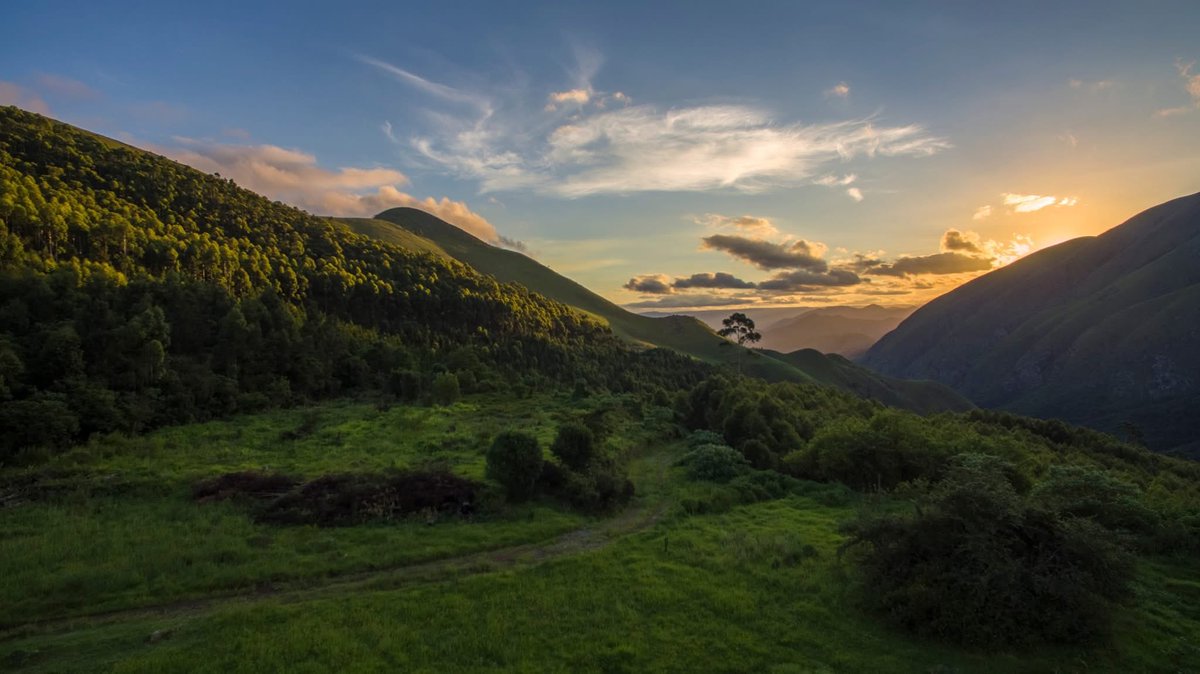 Bulembu Ministries tweet media