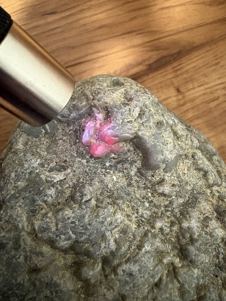 ふなべた tweet media