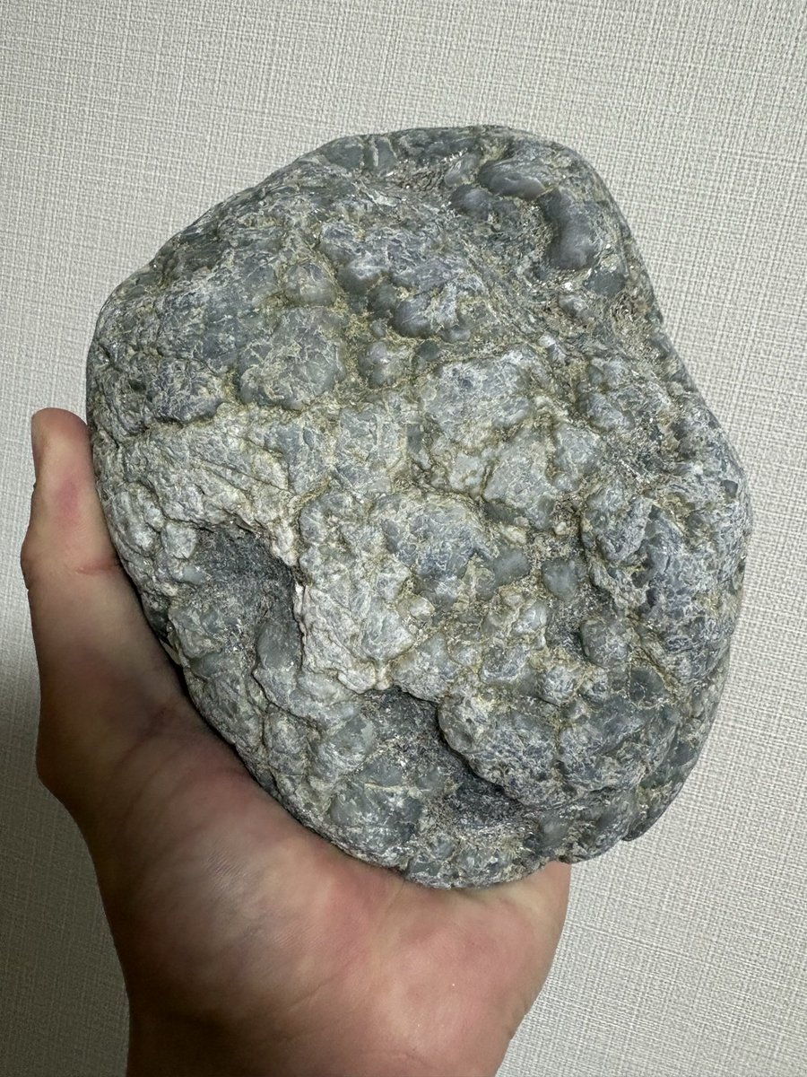 ふなべた tweet media