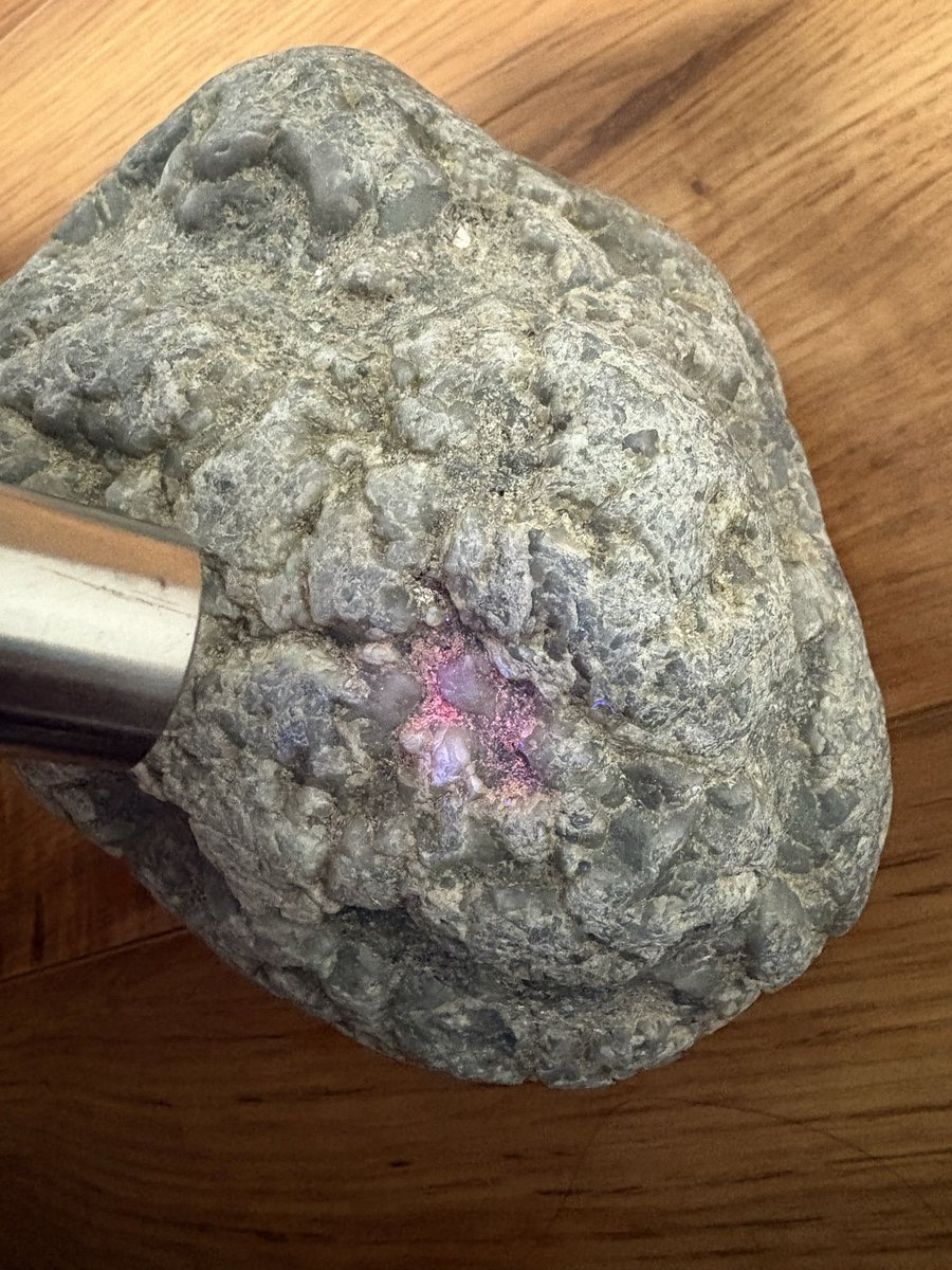 ふなべた tweet media