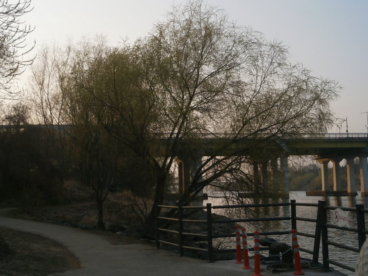 우린젊다 tweet media