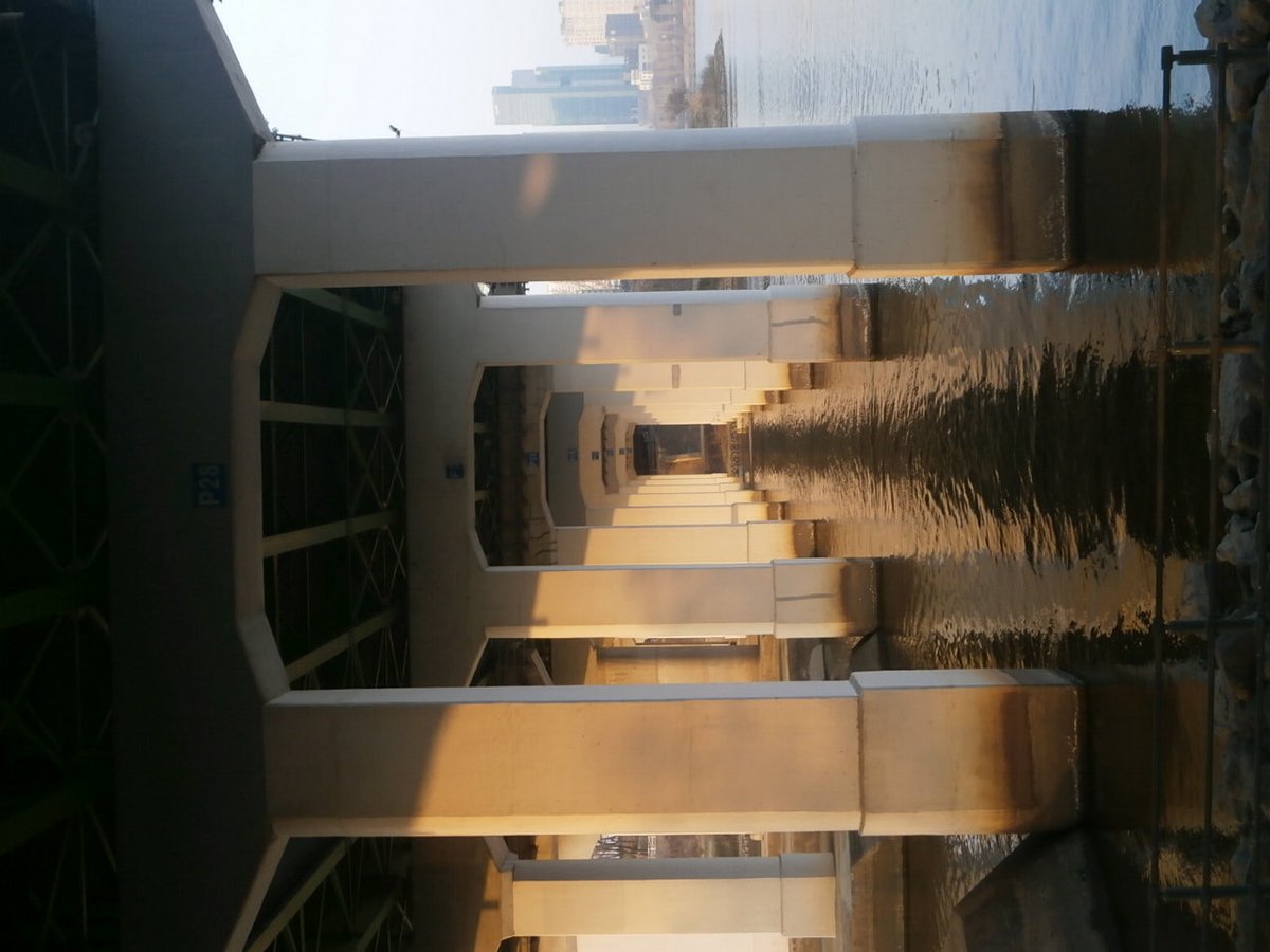 우린젊다 tweet media