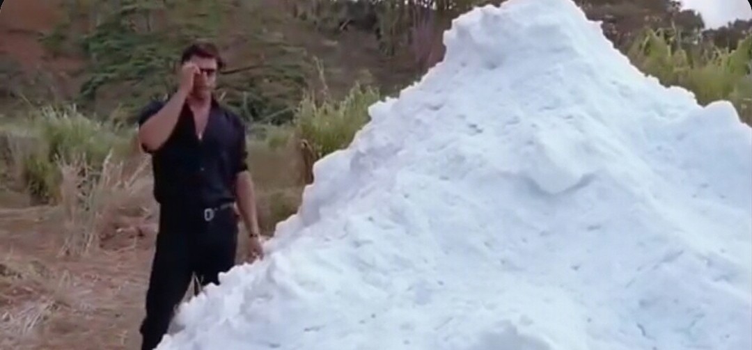 Il Barone Poderano tweet media