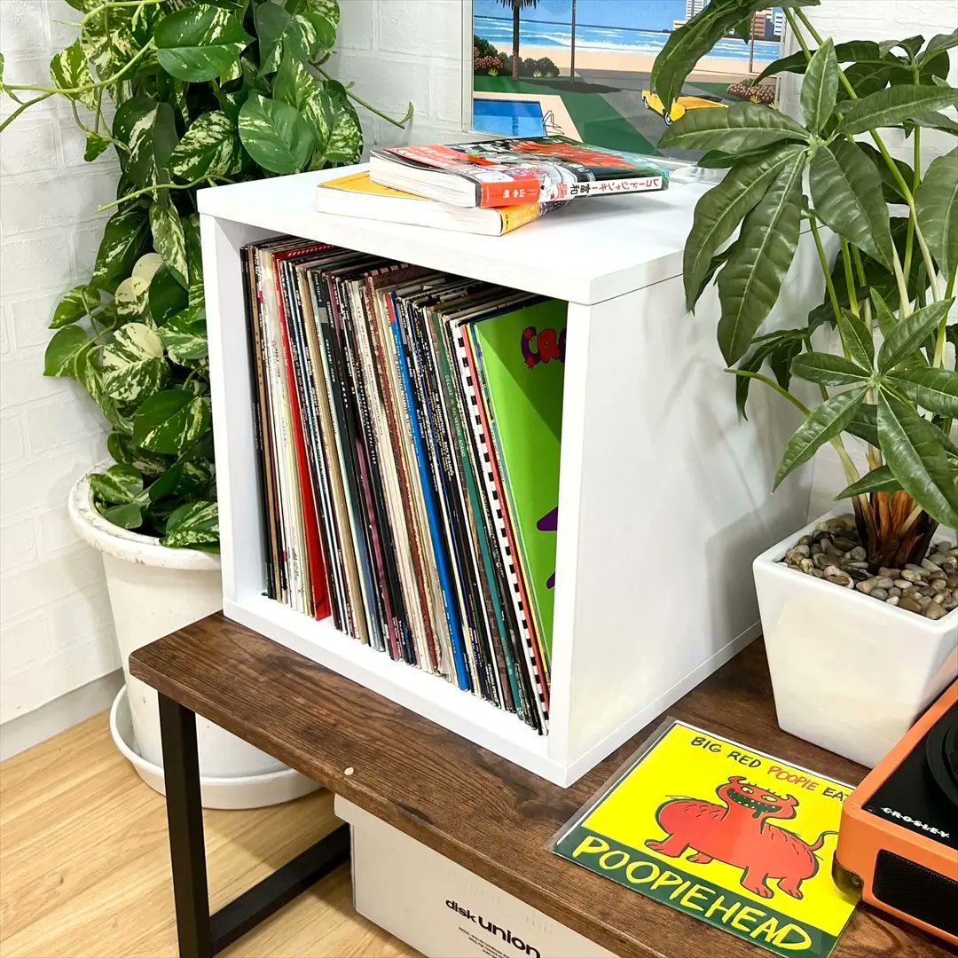 ディスクユニオンCDレコードアクセサリー・収納ストア(収納情報) tweet media