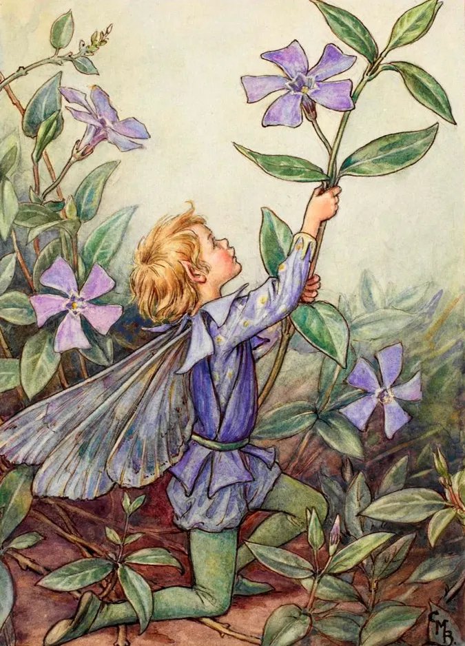 P J Richards tweet media