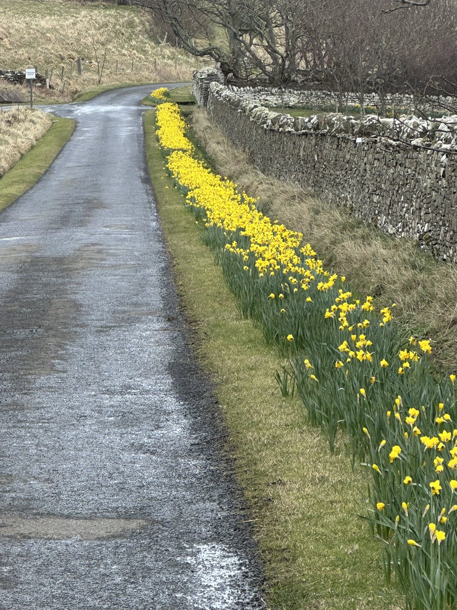 Orkney Uncovered tweet media