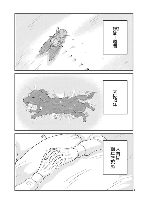 😈新連載のお知らせ👸

新連載「おやすみヒルダ」1話が更新されました。
一万年生きる悪魔の王とたった百年しか生きない人間の女の物語です。

リンクはツリーにあります⬇️ 