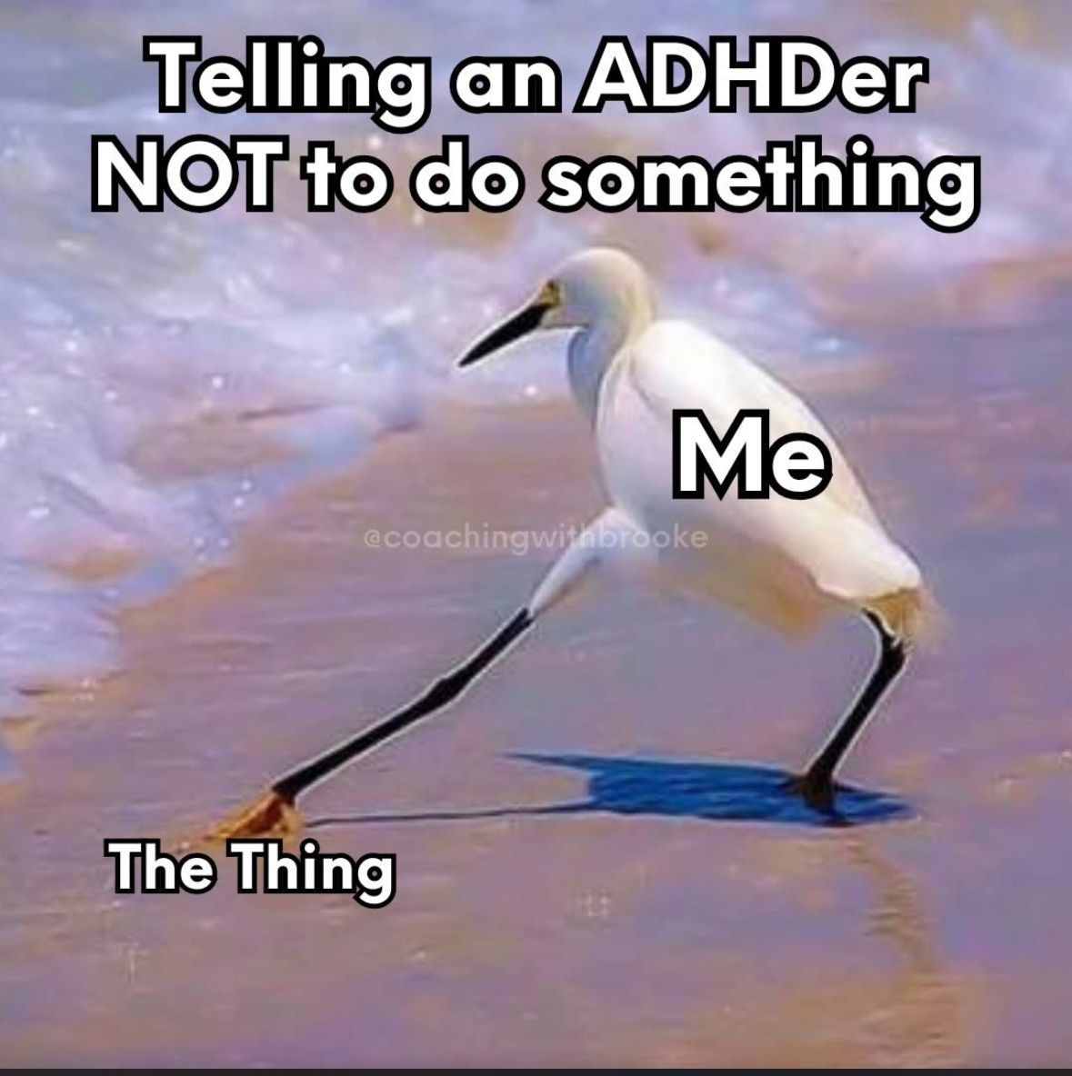 ADHD Memes tweet media