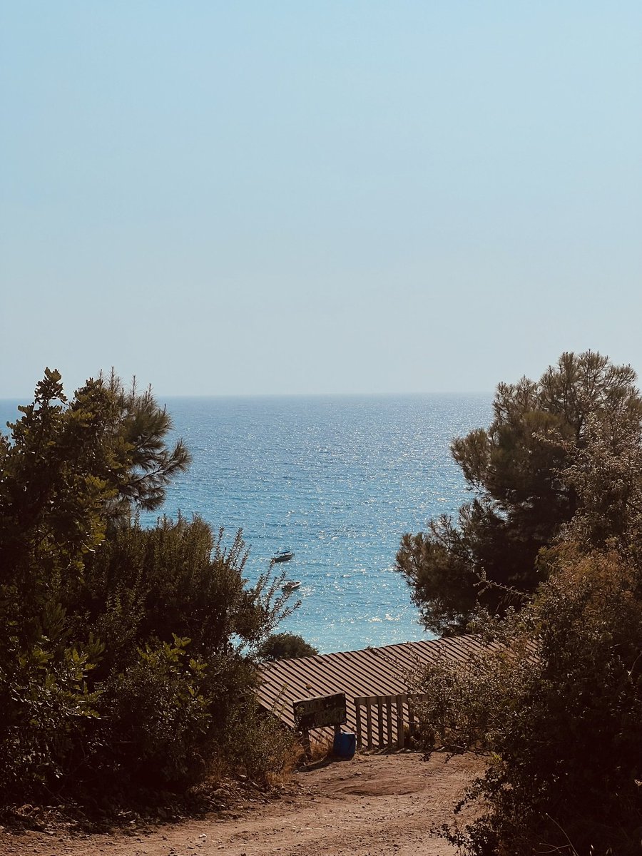 Munch’un Çığlığı tweet media