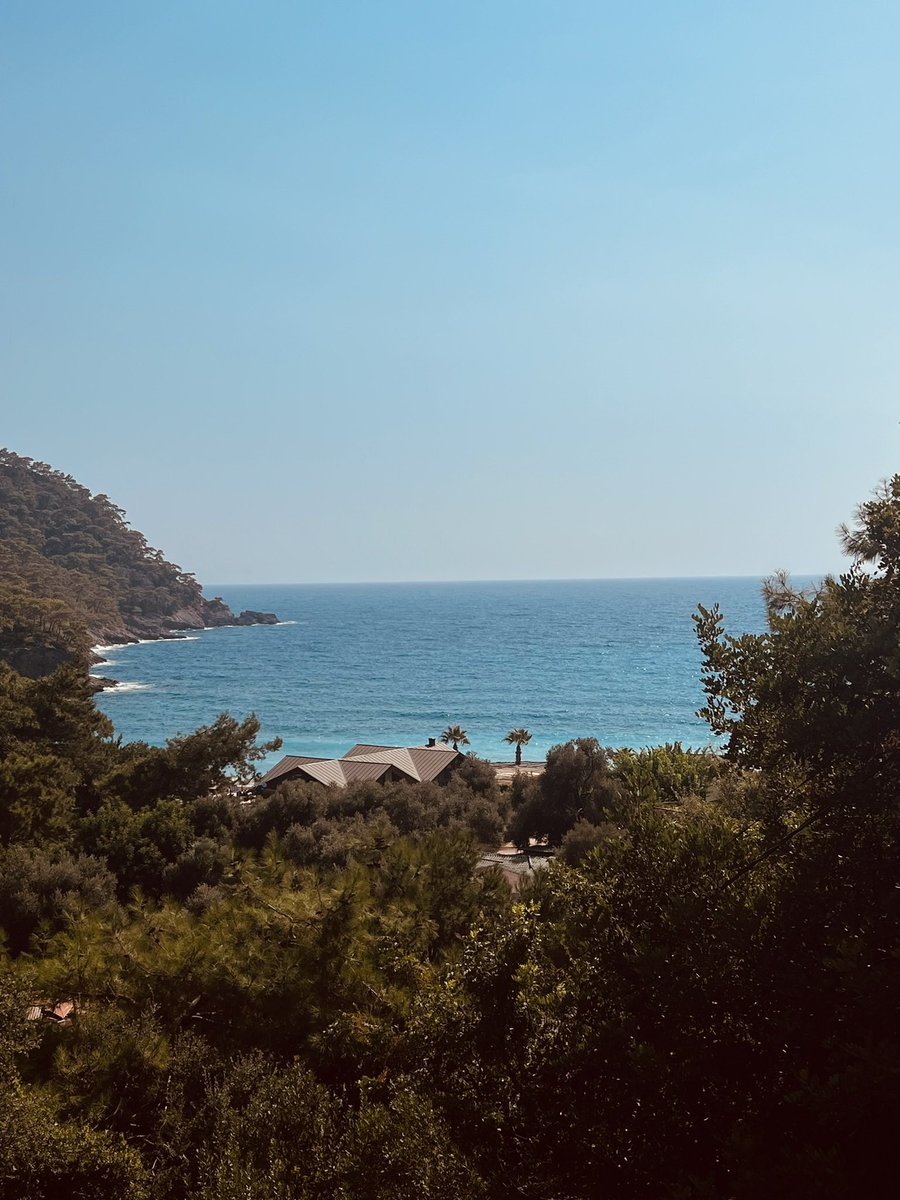 Munch’un Çığlığı tweet media