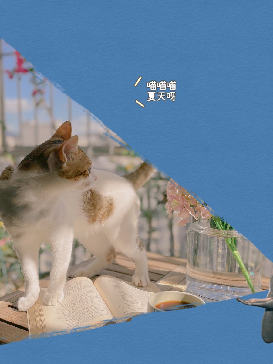 Tiffany Kincaid tweet media