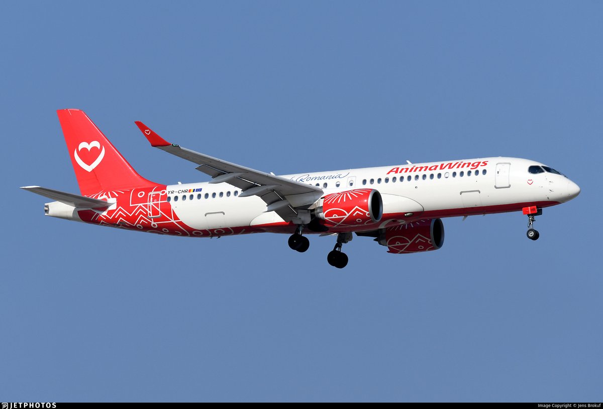 Josh Cahill tweet media