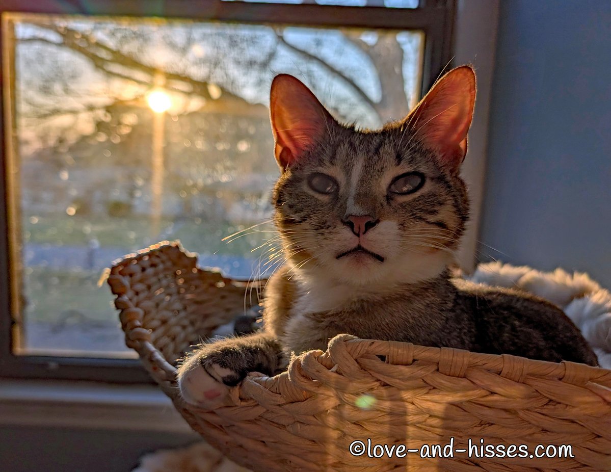 Robyn Anderson tweet media