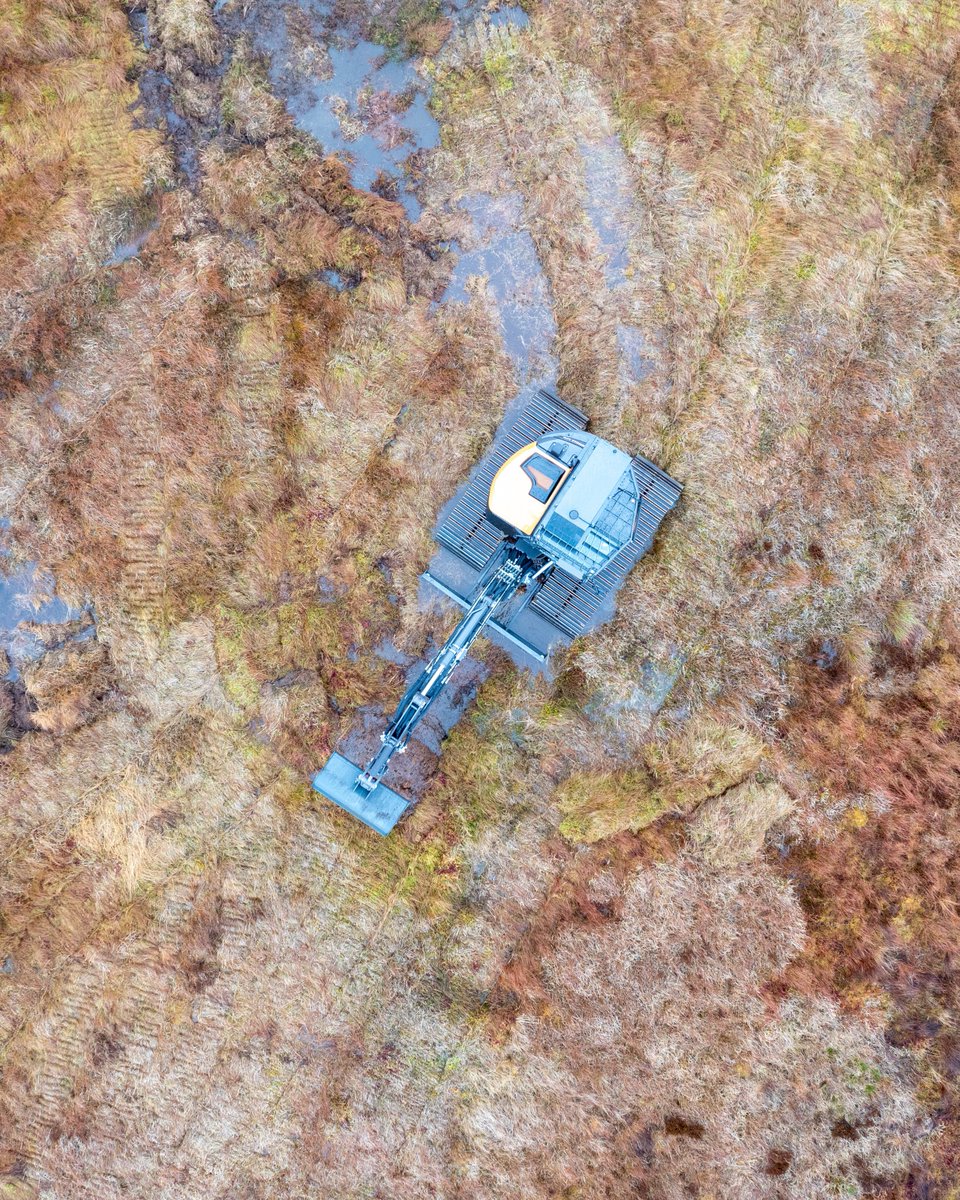 CASE Europe tweet media