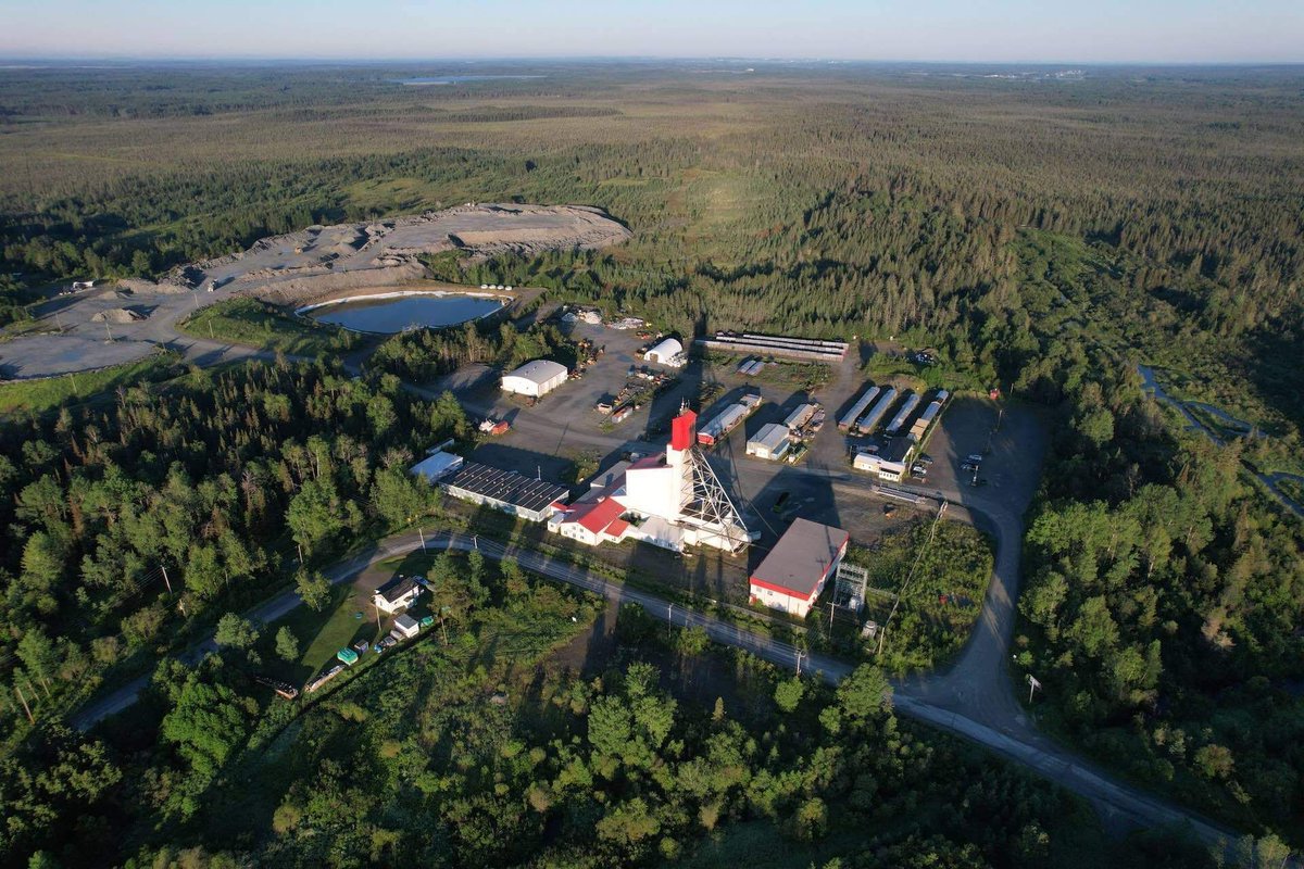 The Logic tweet media