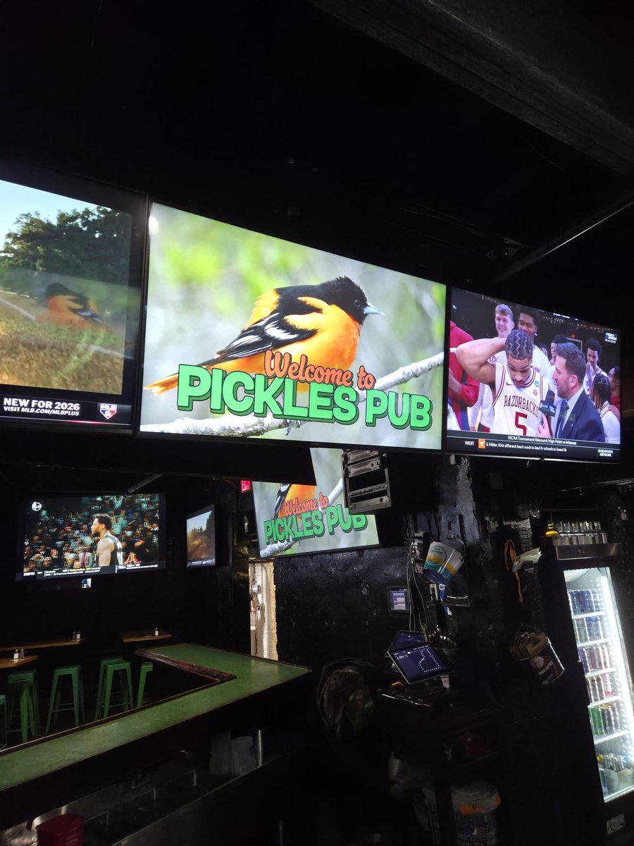 The Bohlar Bear tweet media