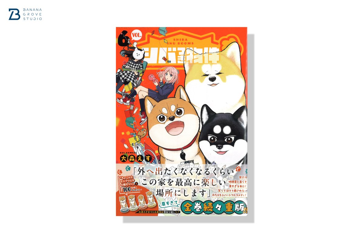 BANANA GROVE STUDIO │ BGS │ tweet media