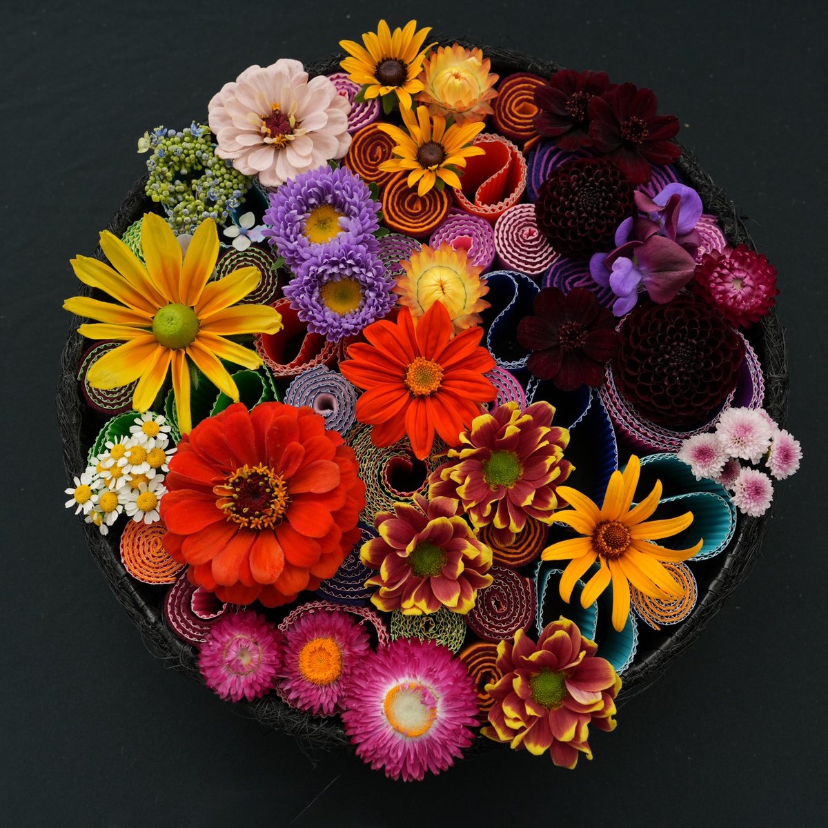 Taunton Flower Show tweet media