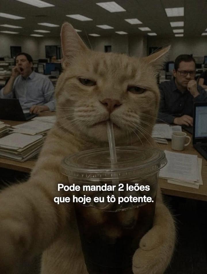 Afrodite tweet media