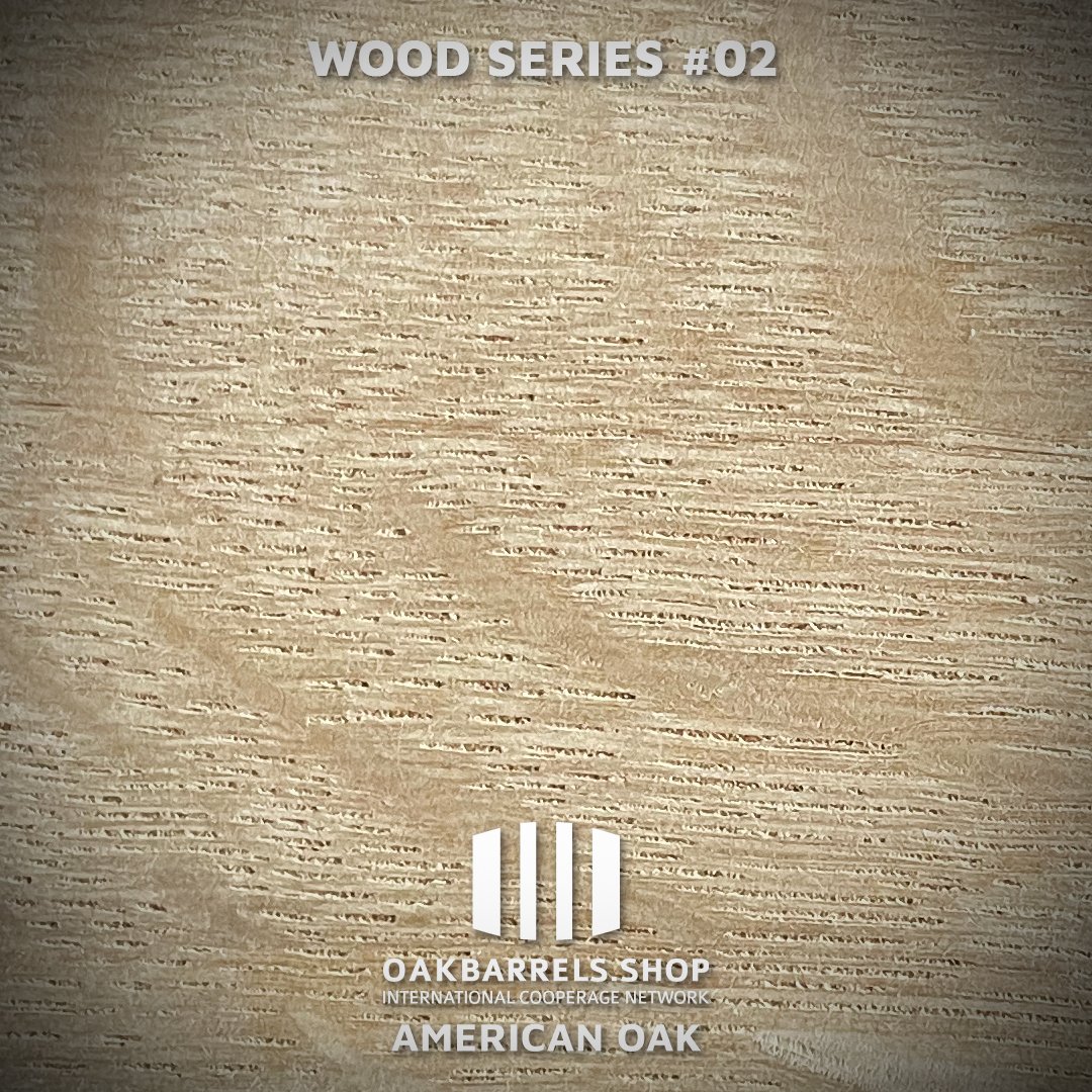 OakbarrelsS's tweet image. 🥃 Wood Series #02 - American White Oak

Smooth. Sweet. Iconic.

Fine grain + high vanillin = controlled aging &amp;amp; signature flavors.
Expect vanilla, caramel, coconut, soft spice &amp;amp; light smoke.

#oakbarrels #americanoak #barrelaging #craftspirits