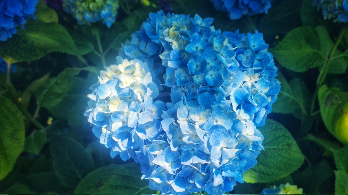 싫어다음에 tweet media