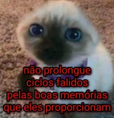 memes extremamente horríveis (ou bons) tweet media