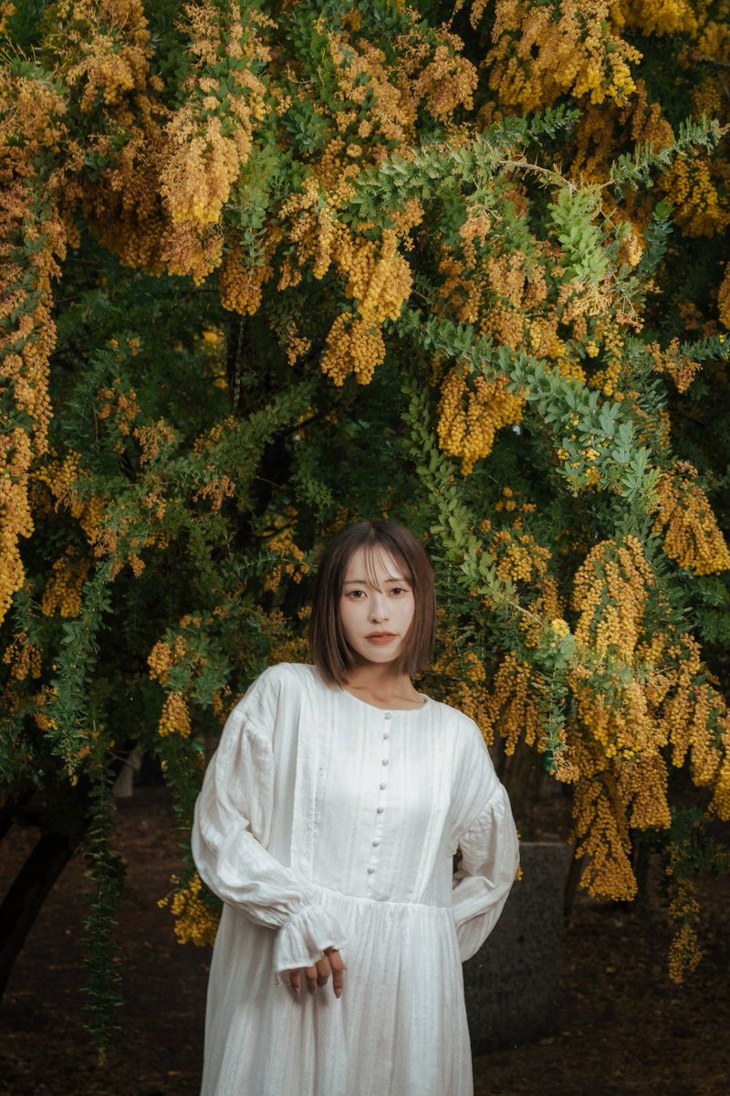 月森あすか tweet media