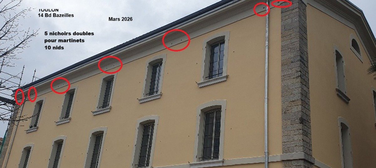 sleguilFR tweet media