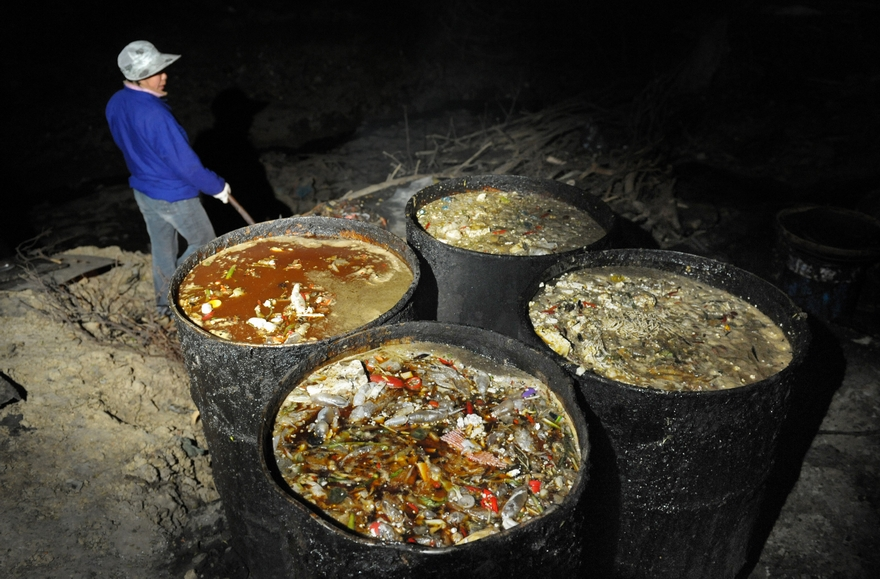 fruity monster tweet media