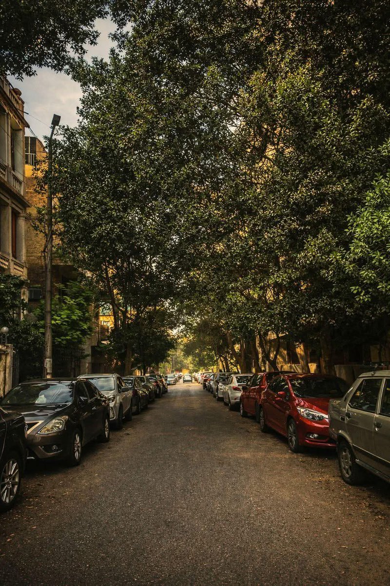 نتمشى؟💚✨
