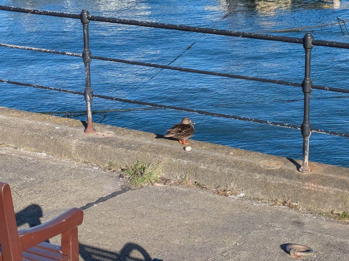 Richard Strachan tweet media