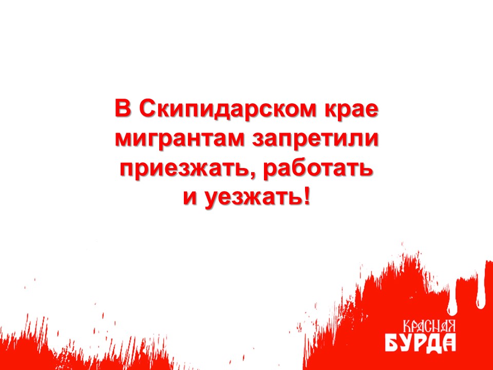 Красная бурда tweet media