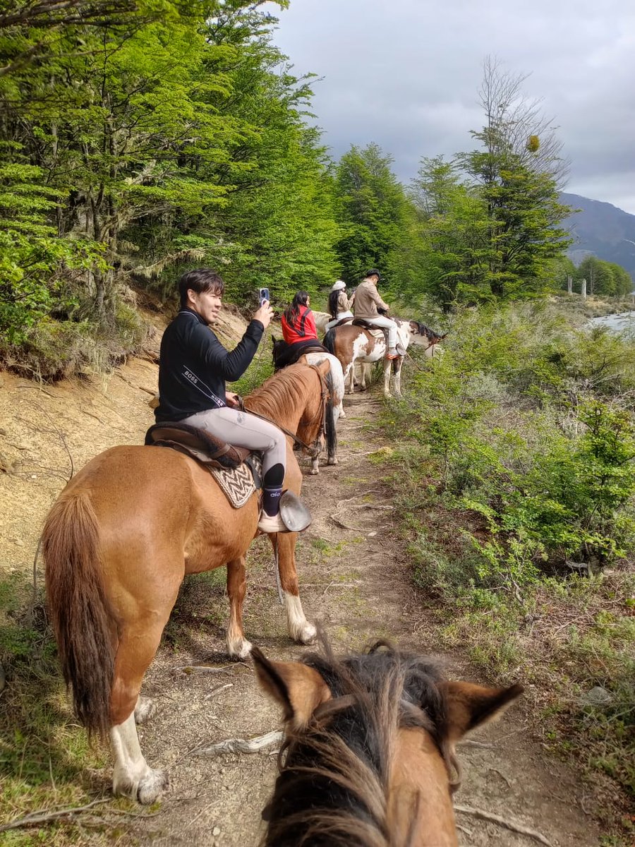 grayfoxtours's tweet photo. Cabalgata en el Lago Escondido: medio día de paisaje fueguino, caballos y merienda en refugio. Perfecta para toda la familia. 🐎🌲☕ Reservá ahora: https://t.co/RVv3H43T55

#Cabalgata #TierraDelFuego #Aventura https://t.co/N1HftX8unc