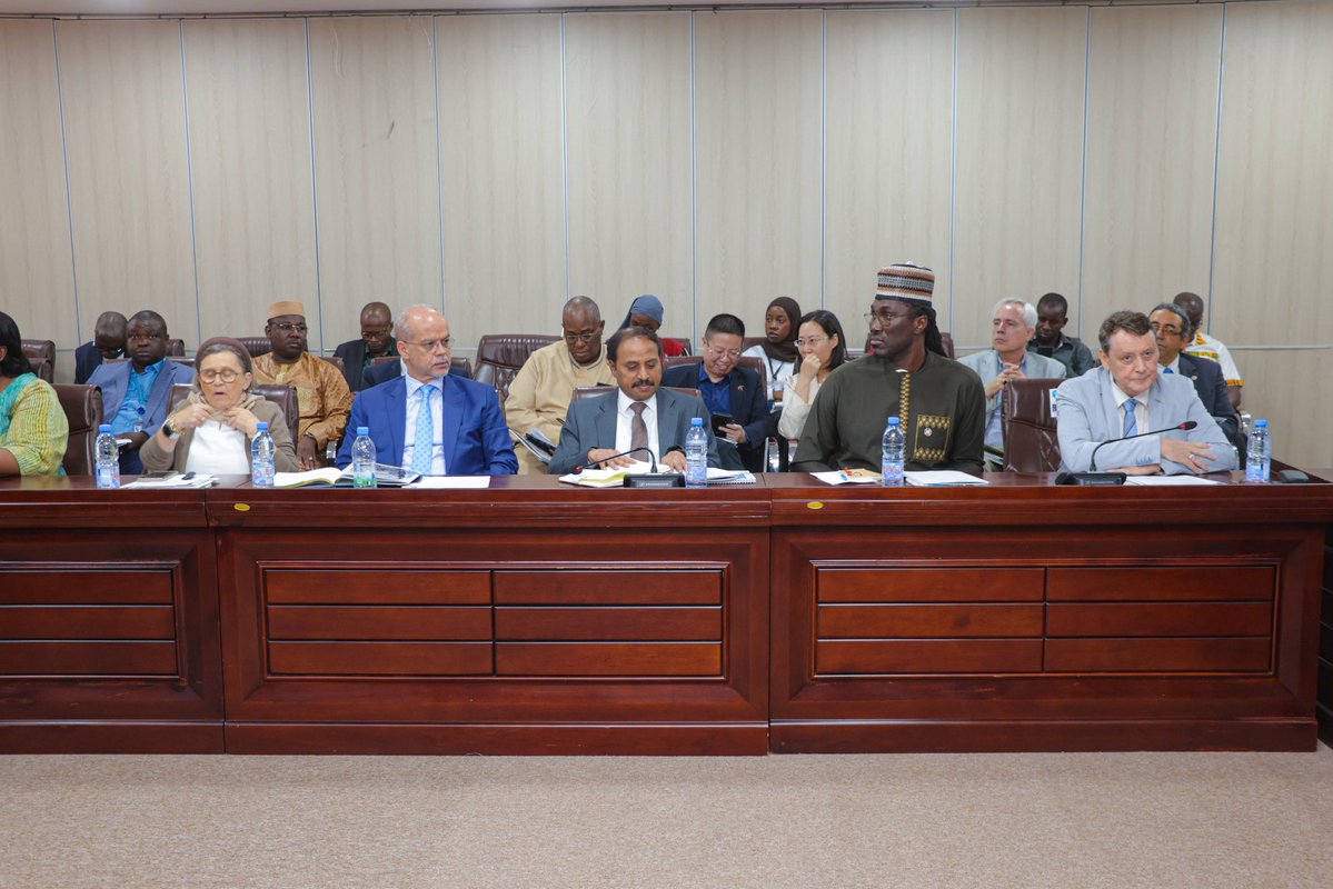 Ministère des Affaires étrangères du Mali tweet media